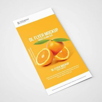 1080_0003_dl-flyer-mockup